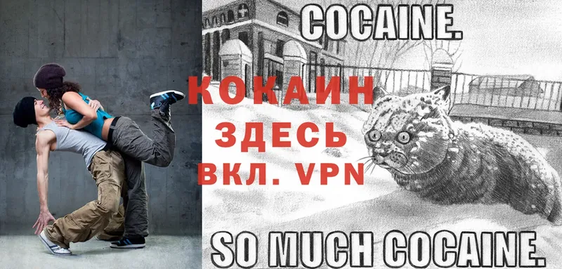 наркотики  Новозыбков  Кокаин VHQ 