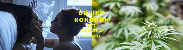 кокаин Новозыбков