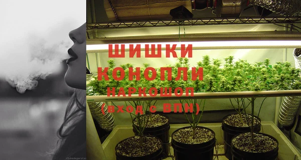 прущий лед Нея