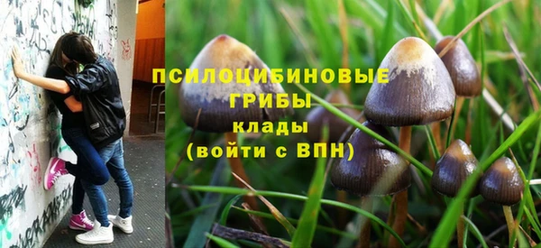 тгк Новокубанск