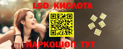 стафф Гатчина