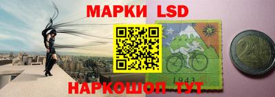 стафф Гатчина