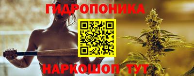 мдпв Гагарин