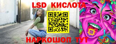 стафф Гатчина