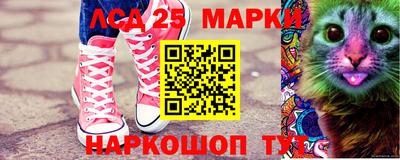 стафф Гатчина