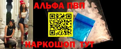 стафф Гатчина