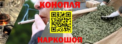 стафф Гатчина