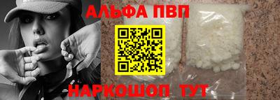 стафф Гатчина
