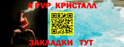стафф Гатчина