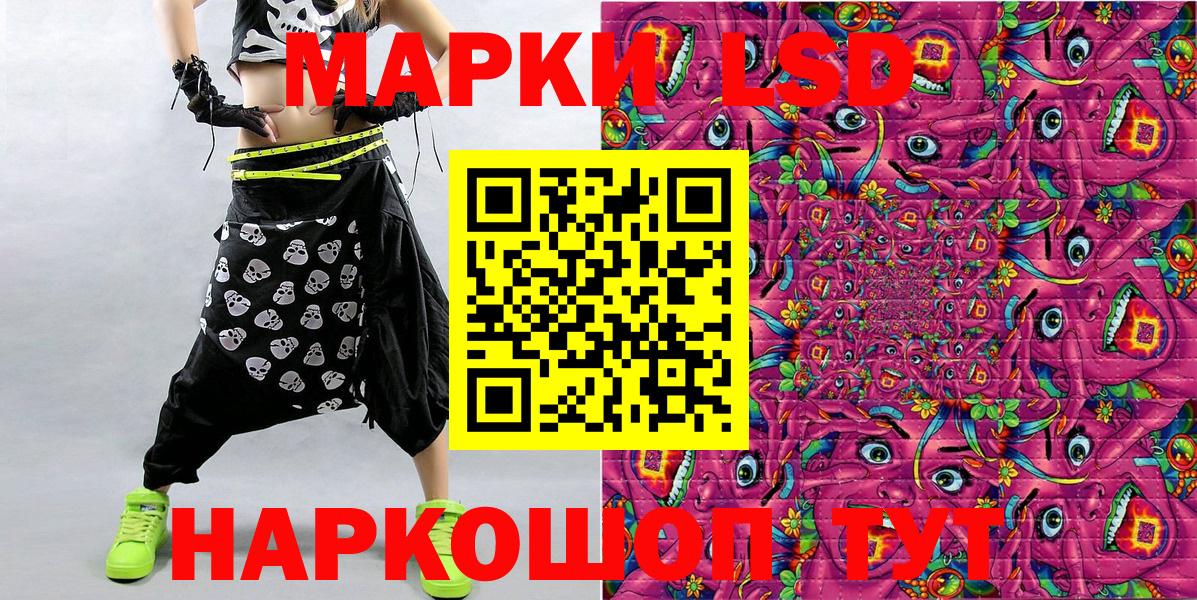 Галлюциногенные грибы Новозыбков
