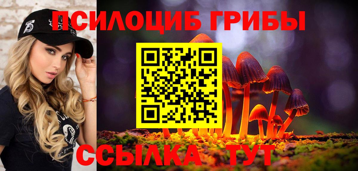 Новозыбков  Псилоцибиновые грибы Magic Shrooms  Вход с VPN 