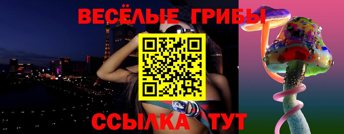 Галлюциногенные грибы Psilocybe Новозыбков